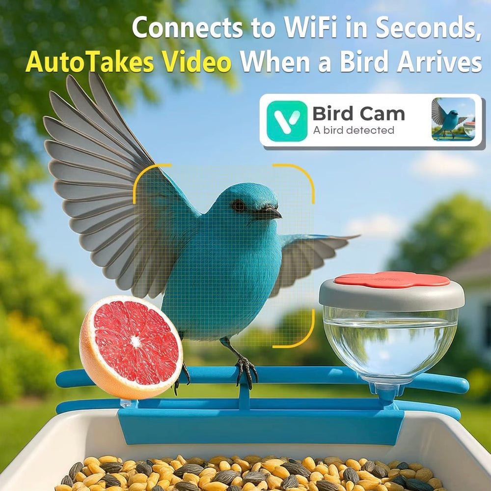 BackyardBirdHQ™ Smart Bird Feeder