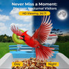 BackyardBirdHQ™ Smart Bird Feeder